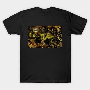 Persimmon in Chiaroscuro with Gold Tones T-Shirt